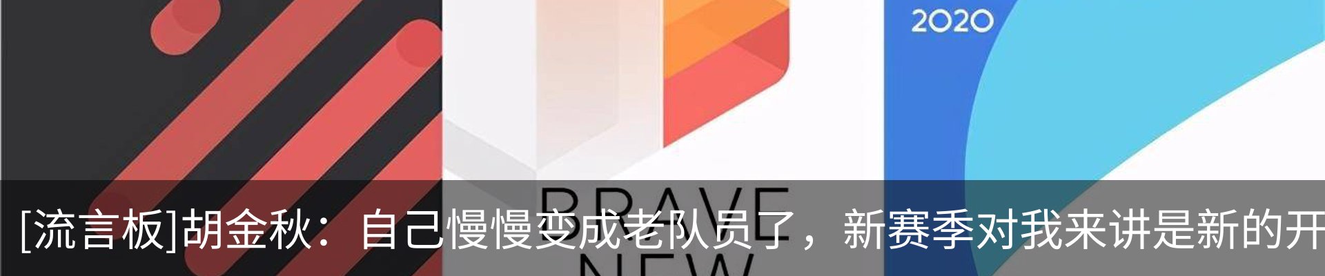 最新动态